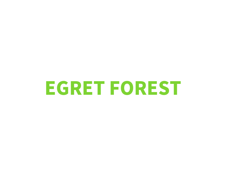 EGRET FOREST