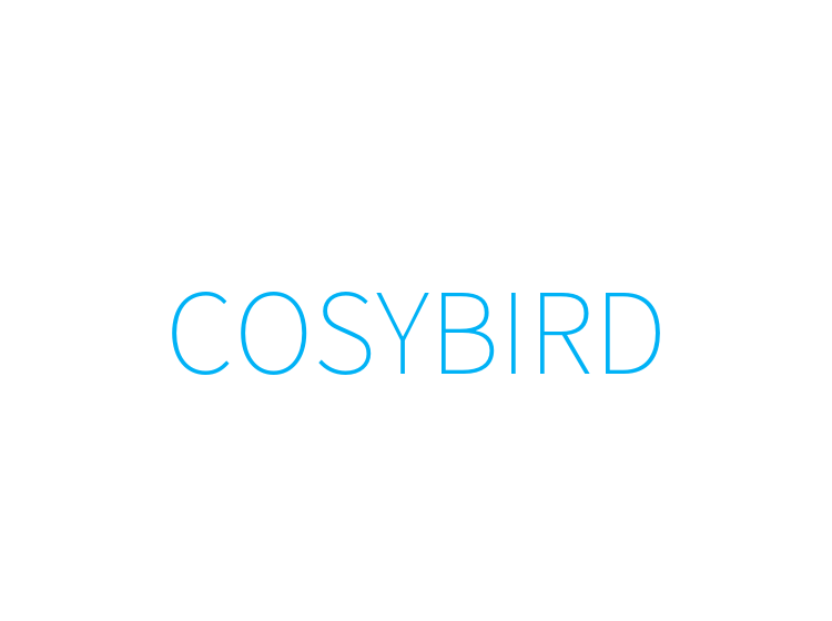 COSYBIRD