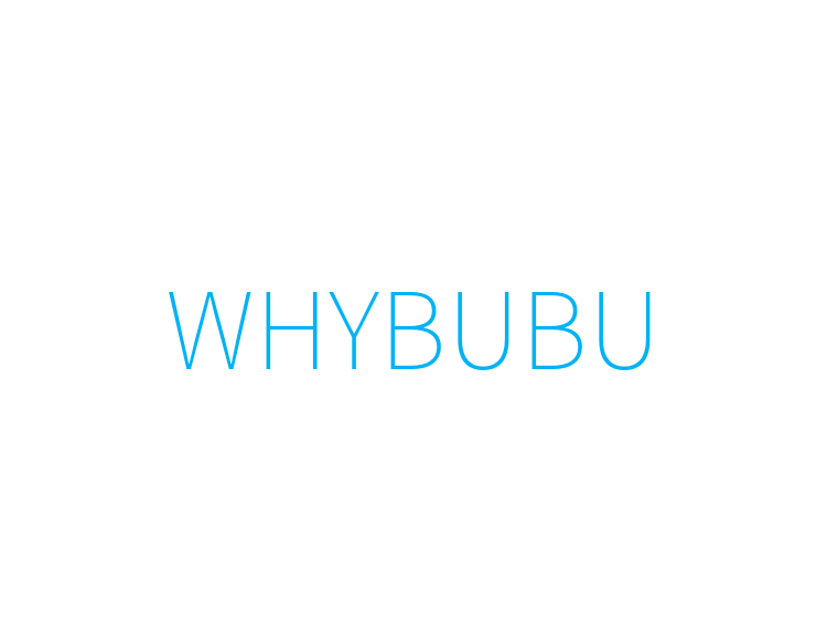WHYBUBU
