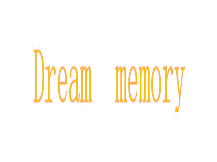 DREAM MEMORY