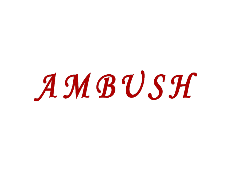 AMBUSH商标