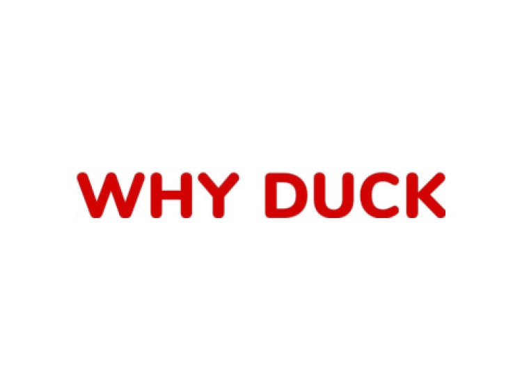 WHY DUCK商標(biāo)轉(zhuǎn)讓