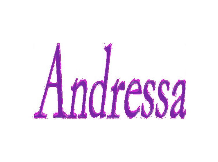 ANDRESSA商标转让