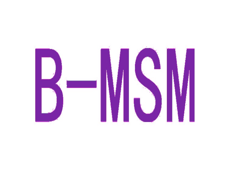 B-MSM