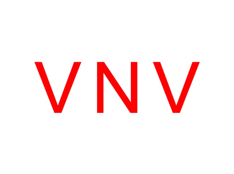 VNV商标