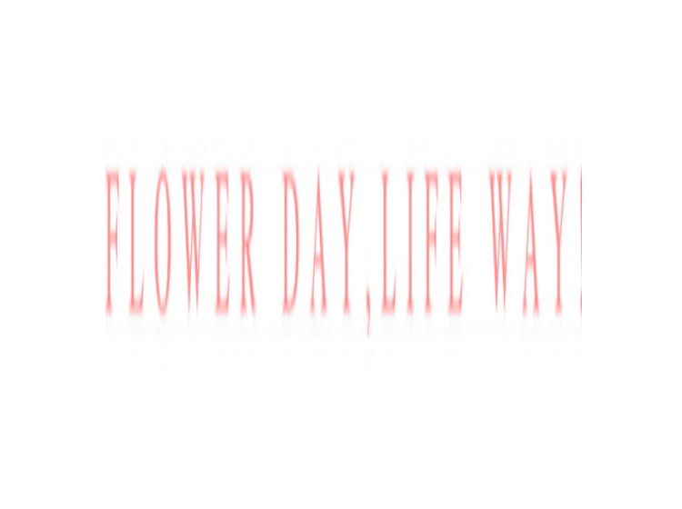 FLOWER DAY,LIFE WAY!