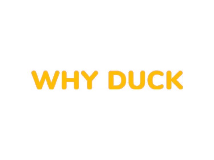 WHY DUCK