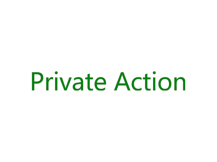 PRIVATE ACTION