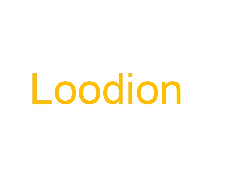 Loodion