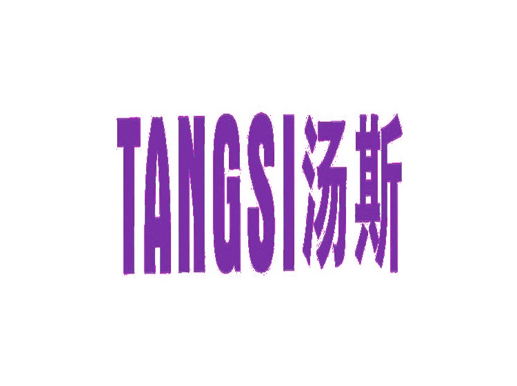 汤斯;TANG SI