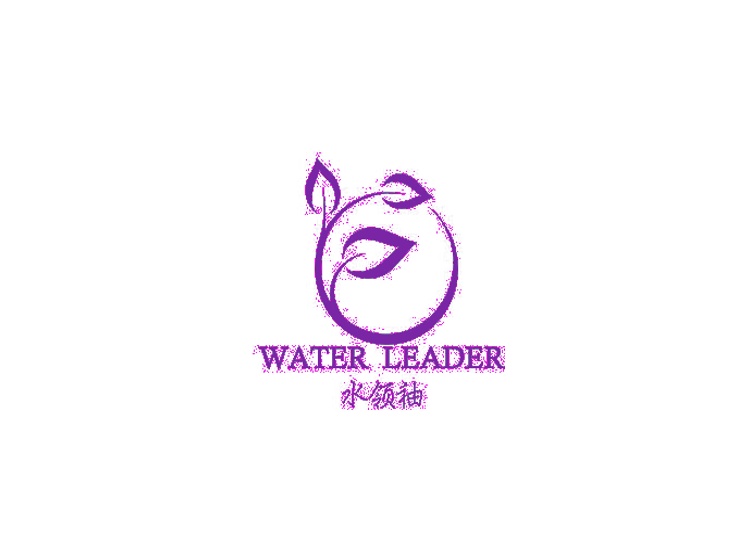 水领袖 WATER LEADER
