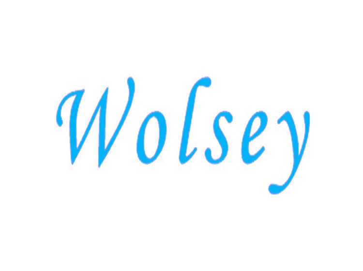 WOLSEY商标