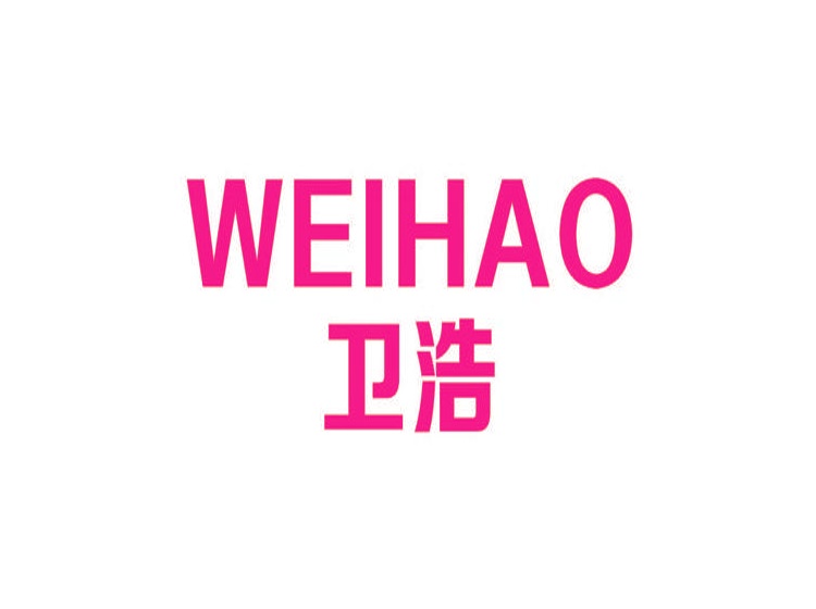 衛(wèi)浩