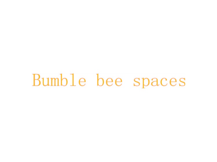 BUMBLE BEE SPACES