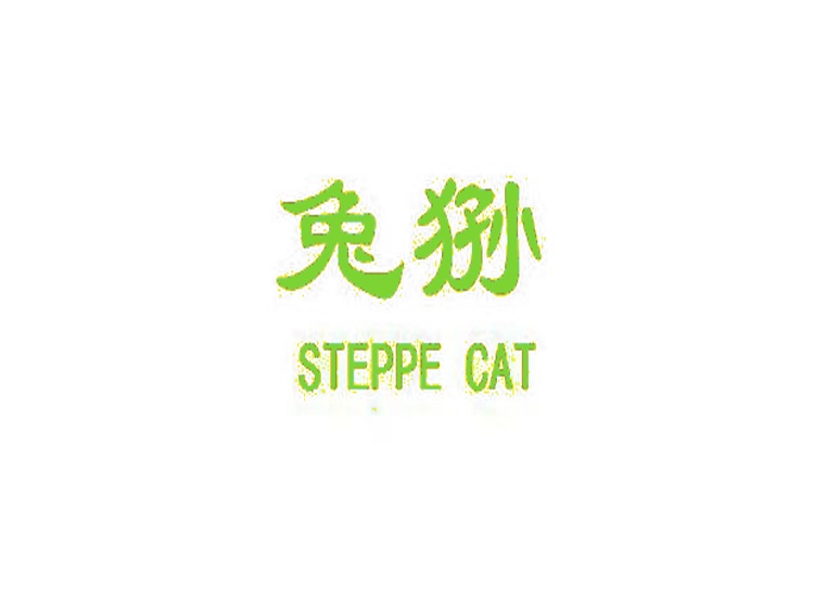 兔狲  STEPPE CAT
