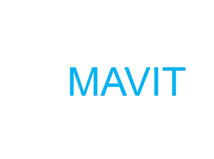 MAVIT商标转让