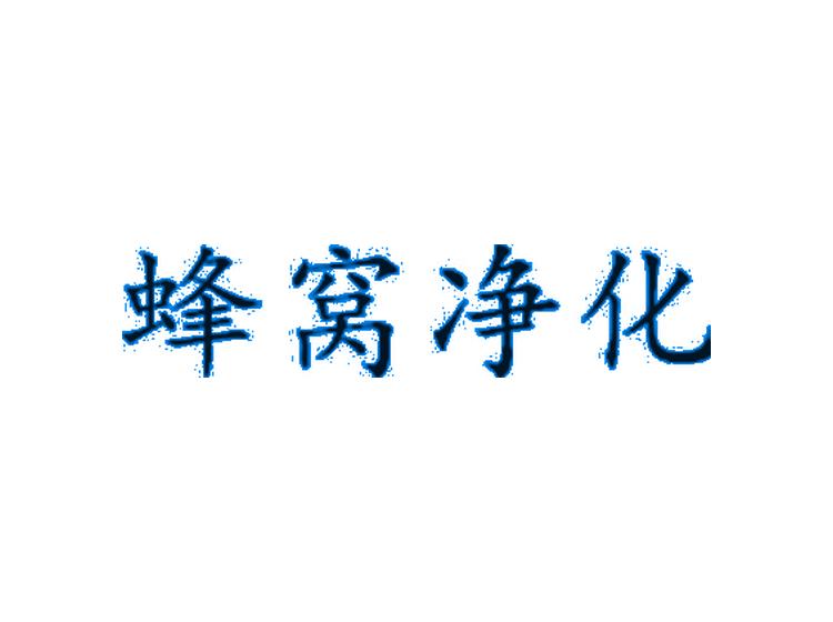 蜂窝净化