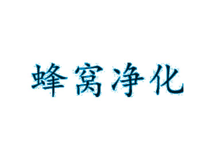 蜂窝净化