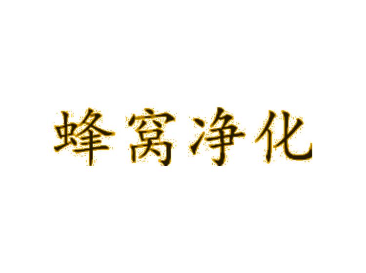 蜂窝净化
