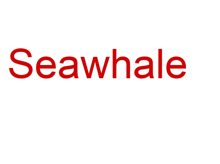 Seawhale