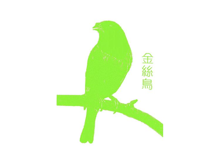 金絲鳥