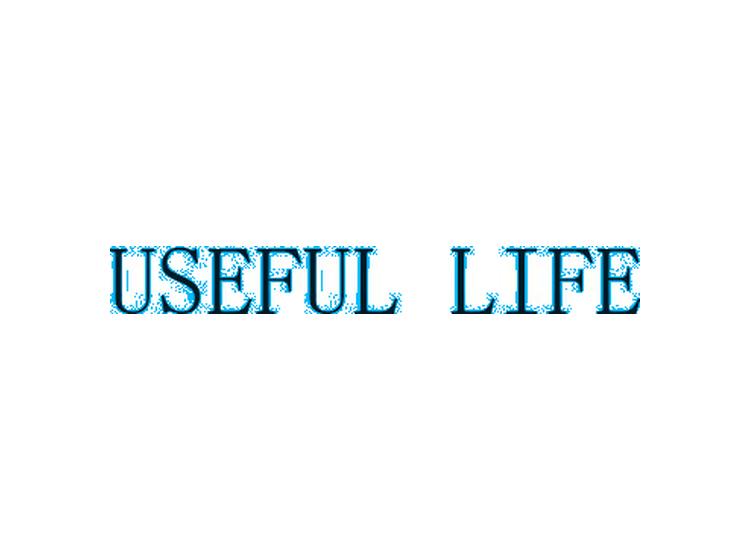 USEFUL LIFE