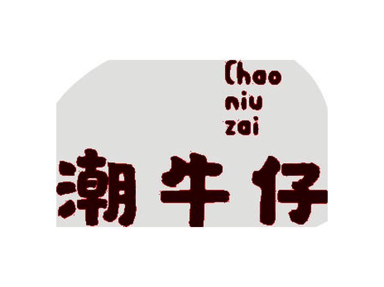 潮牛仔商標轉(zhuǎn)讓