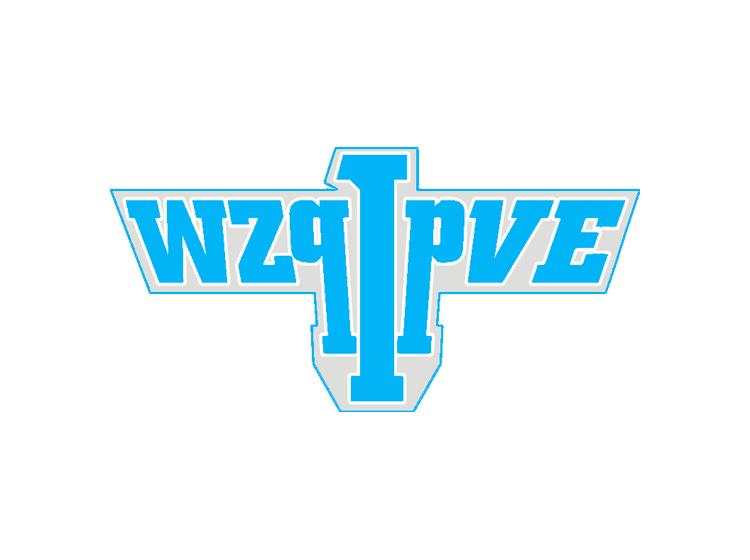 WZQIPVE商标转让