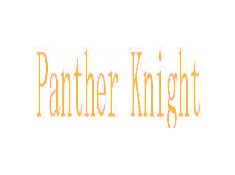 PANTHER KNIGHT