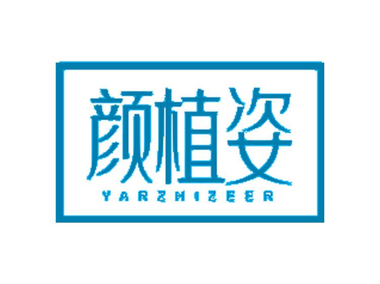 顏植姿  YARZHIZEER