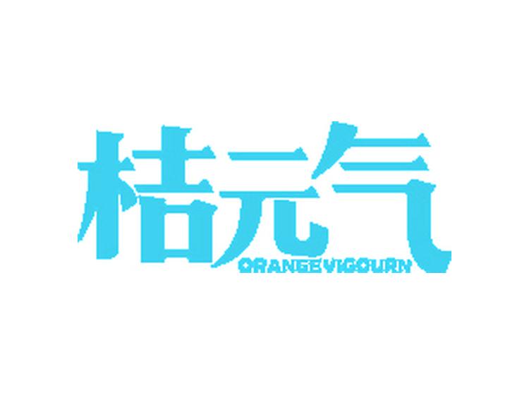 桔元?dú)?ORANGEVIGOURN