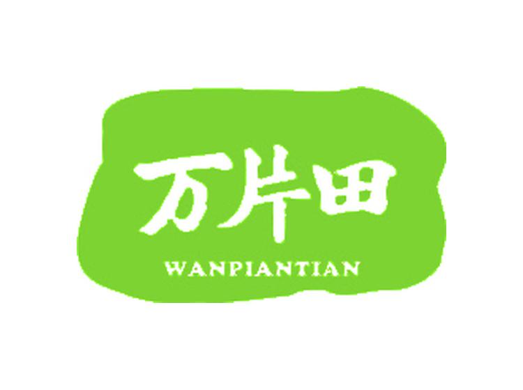 萬(wàn)片田