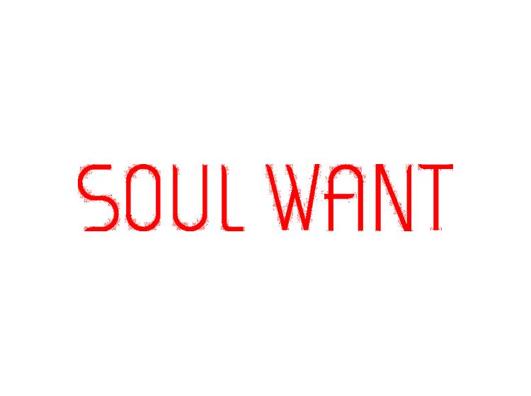 SOUL WANT