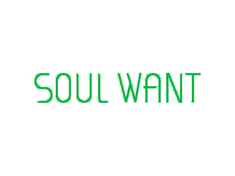 SOUL WANT