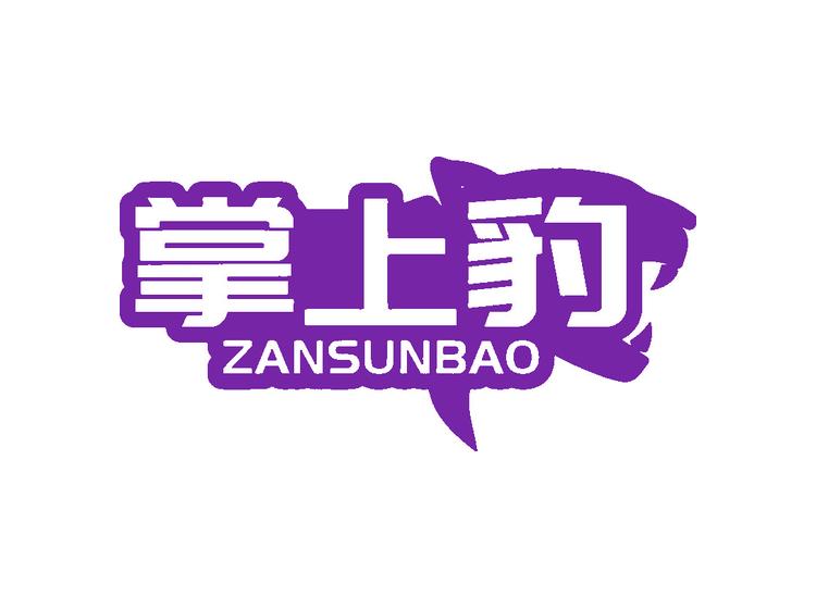 掌上豹 ZANSUNBAO