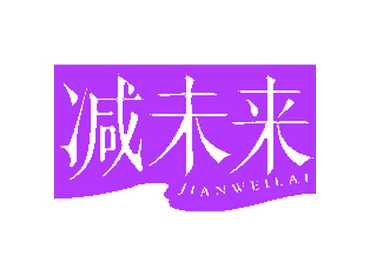 減未來(lái)