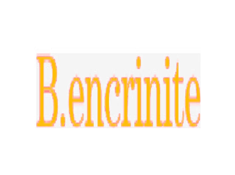 B.ENCRINITE