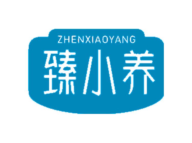 臻小養(yǎng)