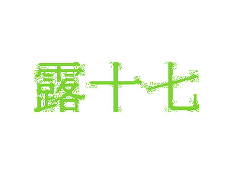 露十七