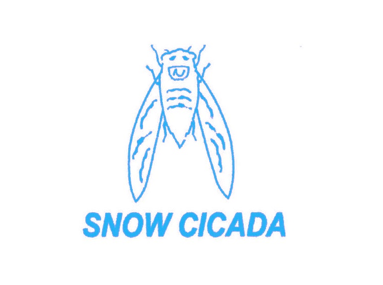 SNOW CICADA